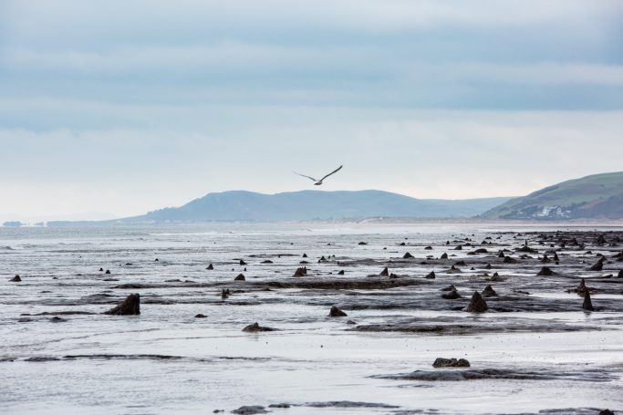 Borth Beach